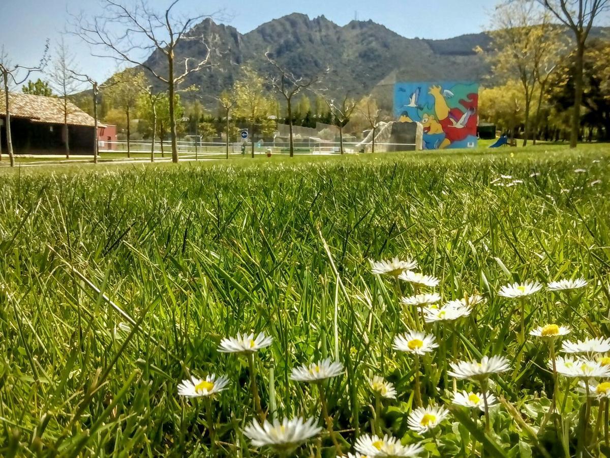 Camping Iratxe Ciudad De Vacaciones Ayegui Buitenkant foto